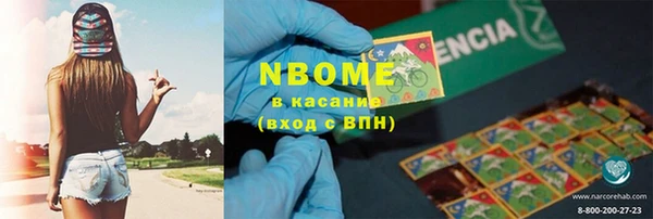 индика Алексин