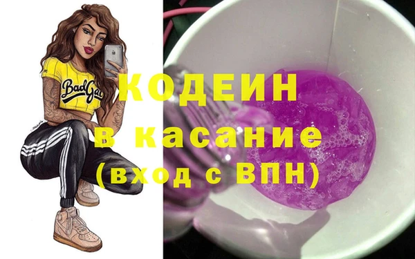 индика Алексин