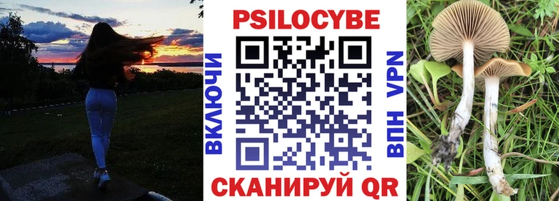 как найти   Харабали  Псилоцибиновые грибы GOLDEN TEACHER 